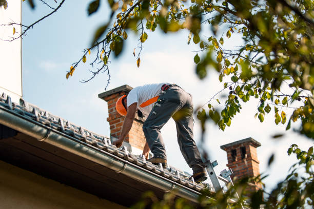 Best Residential Roofing Contractor  in Elm City, NC