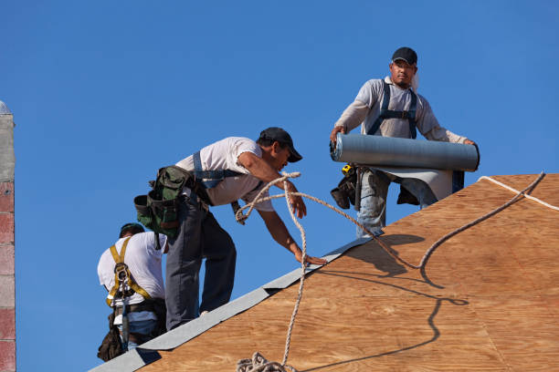 Best Local Roofing Companies  in Elm City, NC