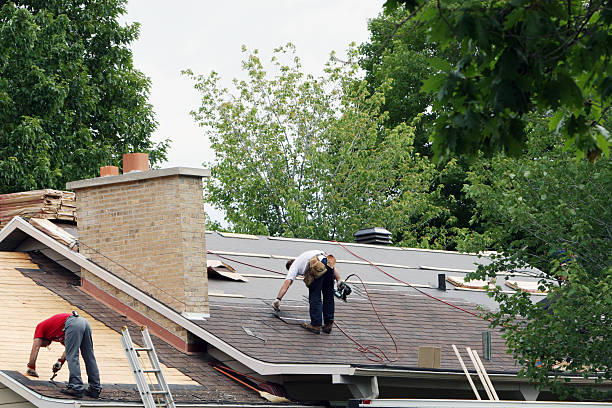 Professional Roofing Contractor in Elm City, NC
