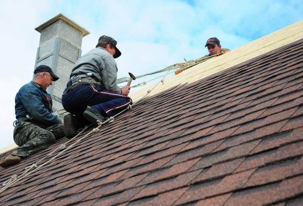 Best Gutter Installation and Roofing  in Elm City, NC